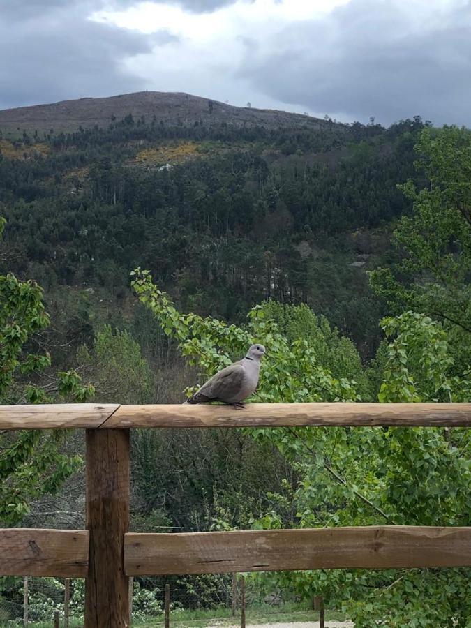 Casa Do Gaio-Turismo De Natureza Arouca Zewnętrze zdjęcie