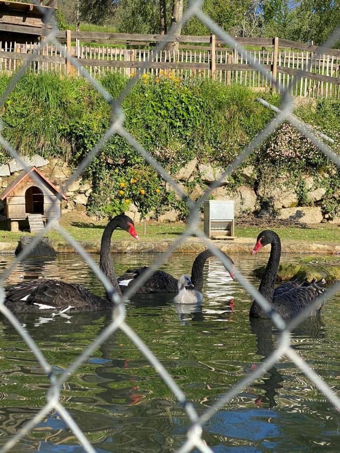 Casa Do Gaio-Turismo De Natureza Arouca Zewnętrze zdjęcie