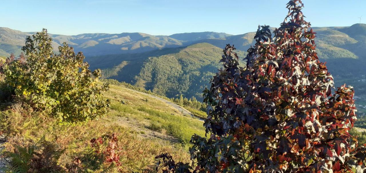 Casa Do Gaio-Turismo De Natureza Arouca Zewnętrze zdjęcie